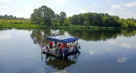 zdjęcie nr 11
